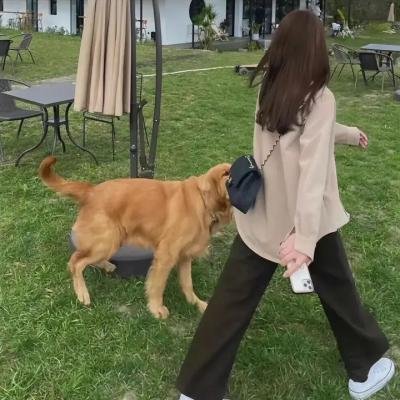 弄假成真