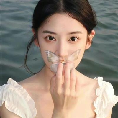 新蝶恋花